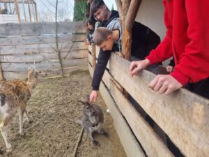 Nowe doświadczenie po wizycie w Wild life - reptarium 6