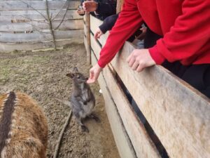 Nowe doświadczenie po wizycie w Wild life - reptarium 5