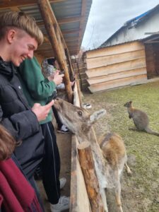 Nowe doświadczenie po wizycie w Wild life - reptarium 3