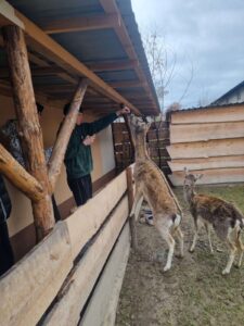 Nowe doświadczenie po wizycie w Wild life - reptarium 4