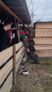 Nowe doświadczenie po wizycie w Wild life - reptarium 2