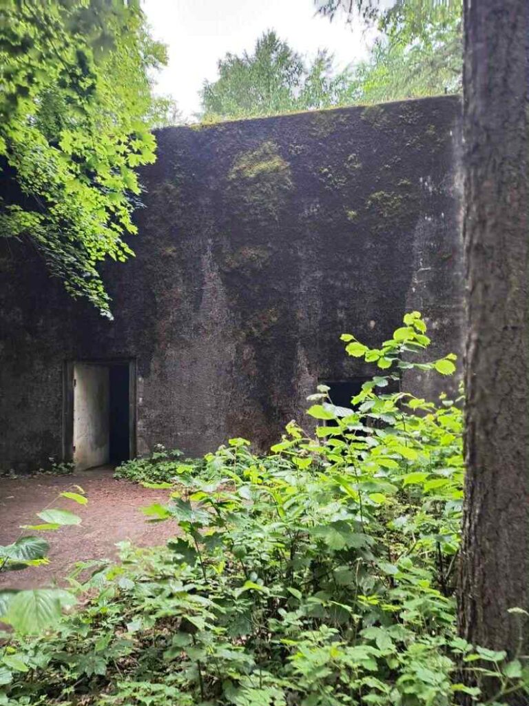 Bierzemy udział w X Centralnym Zlocie Klas Wojskowych Orzysz 2025 34