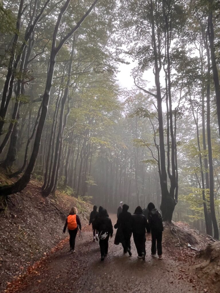 Wycieczka w Bieszczady  18
